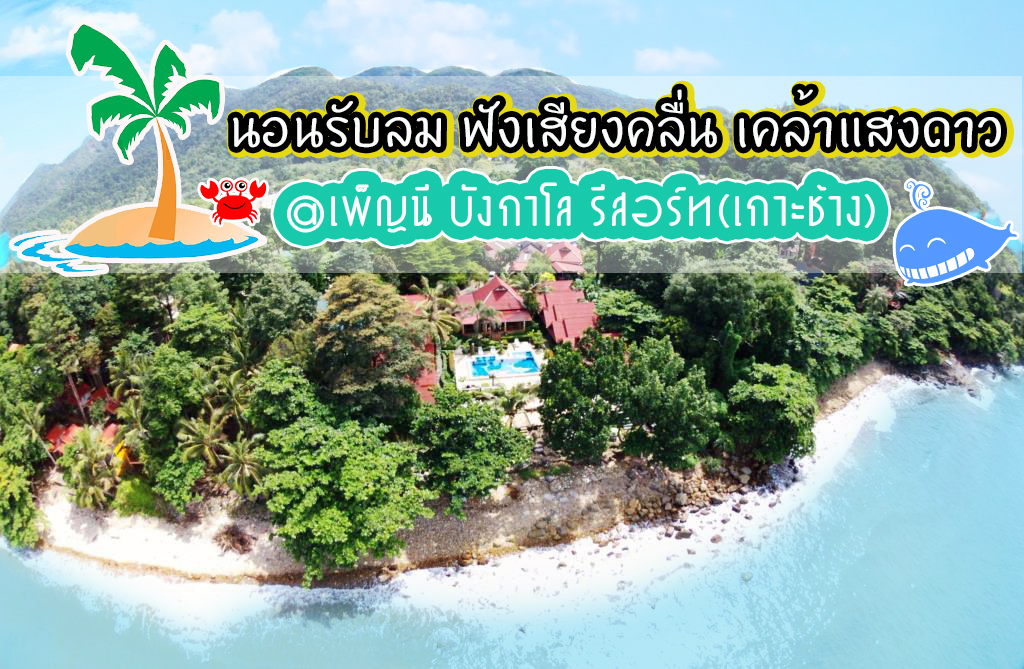 เพ็ญนี บังกาโล รีสอร์ท (ตั้งอยู่ที่เกาะช้าง) เราขอเชิญชวนพี่น้องชาวเหนือมาเที่ยวทะเล ดำน้ำดูปะการัง พร้อมแพ็คเกจทัวร์สุดพิเศษราคาประหยัด