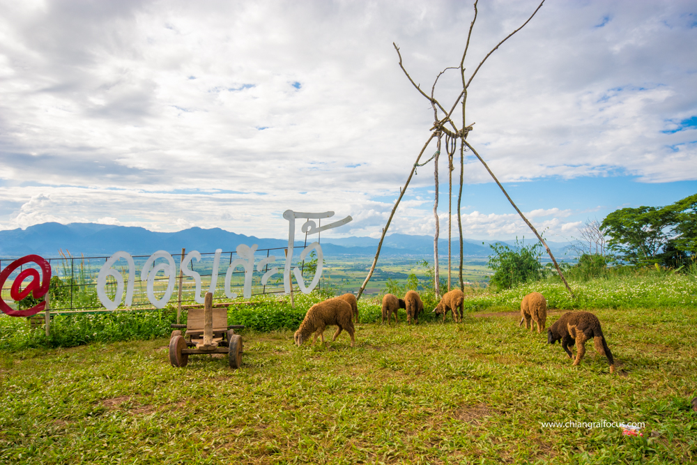 จุดชมวิว 360 องศา ที่ดอยสะโง้