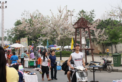 Photo by :: �����¢�¡���·ʹ