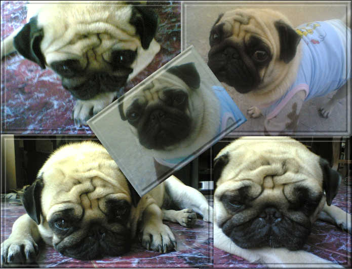 Photo by :: �����