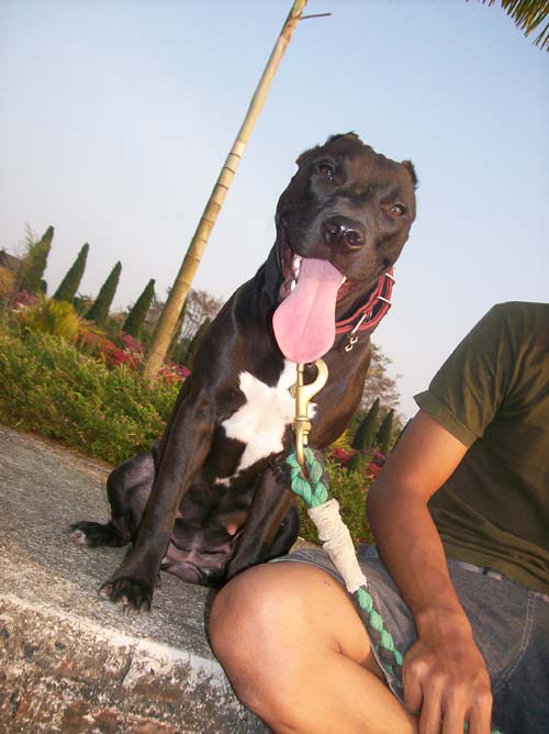 Photo by :: �鹹����§���