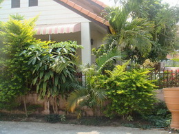 Photo by :: �����