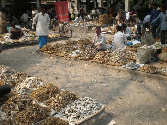 Photo by :: ��������