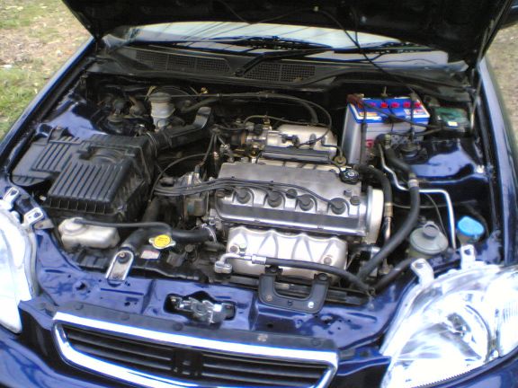 Photo by :: ͹��ó�