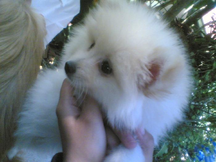 Photo by :: ทราย