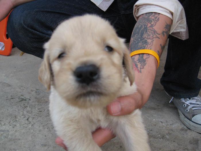 Photo by :: อู๋