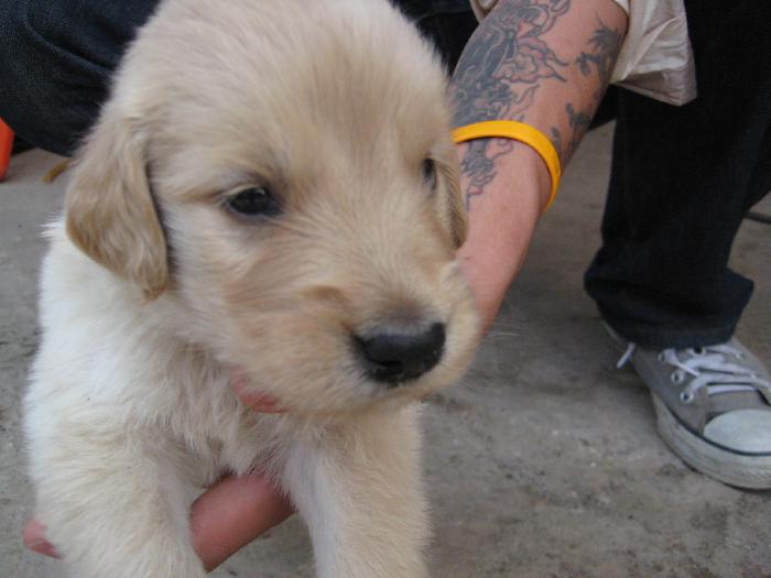 Photo by :: อู๋