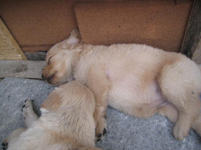 Photo by :: อู๋