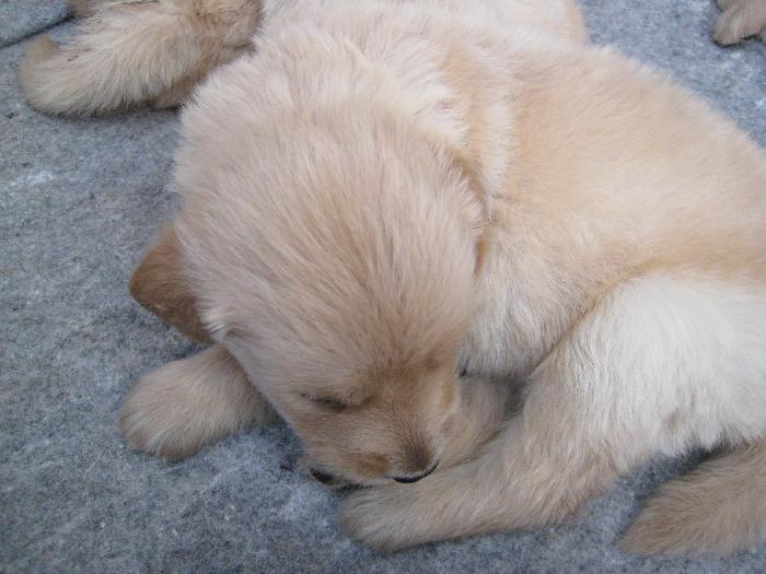 Photo by :: อู๋