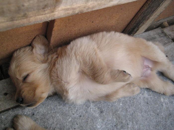 Photo by :: อู๋