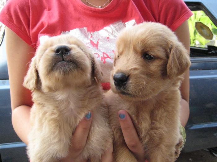 Photo by :: อู๋