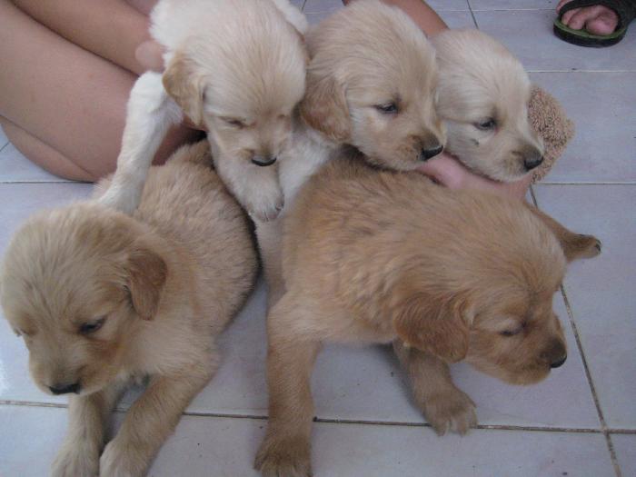 Photo by :: อู๋