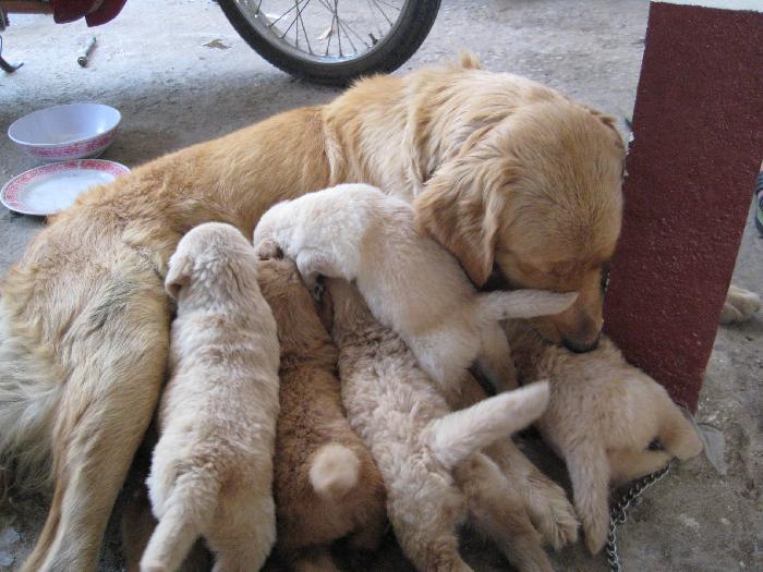 Photo by :: อู๋