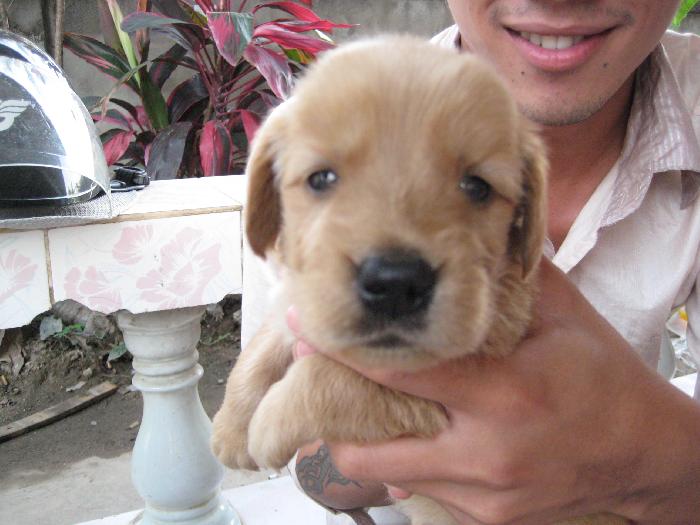 Photo by :: อู๋