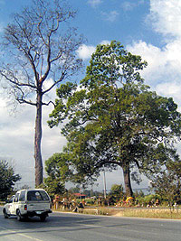 Photo by :: ����Ѻ 555