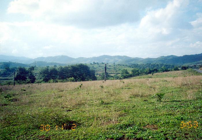 Photo by :: �Ѫ��