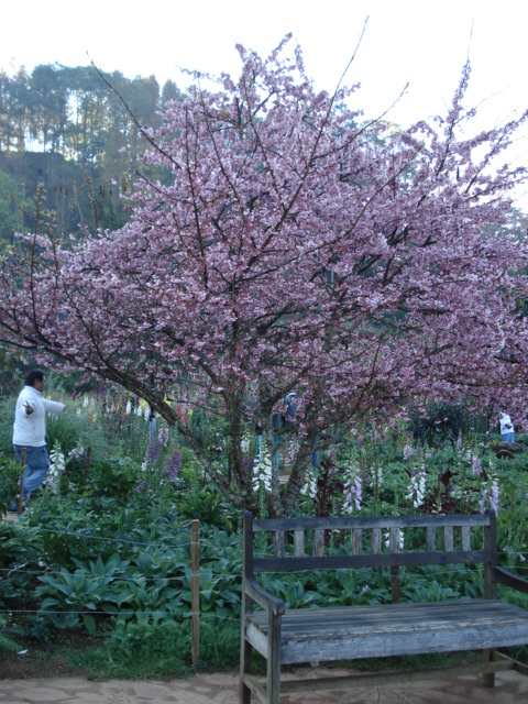 Photo by :: �����