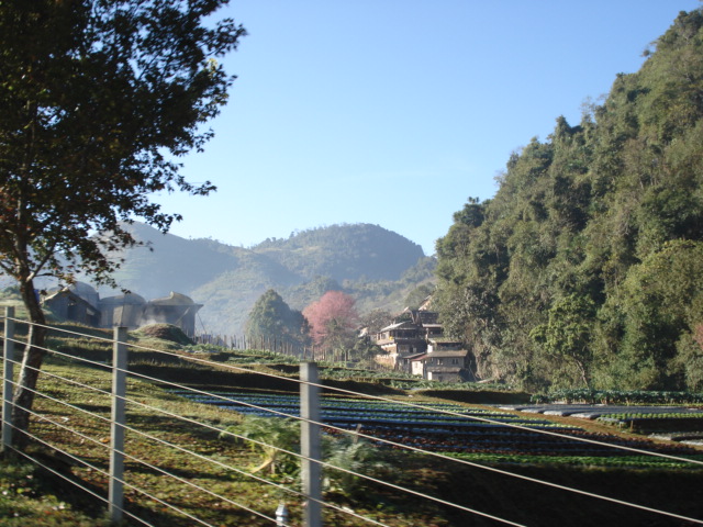 Photo by :: �����