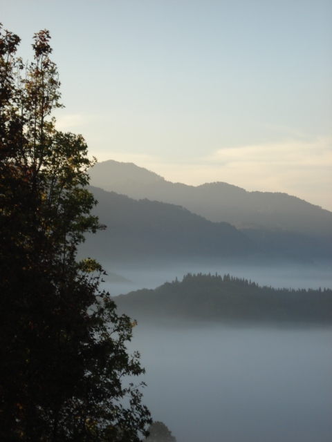 Photo by :: �����