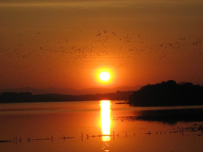 Photo by :: �ب���