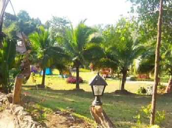 Photo by :: north of Thailand