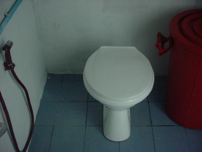 Photo by :: ����