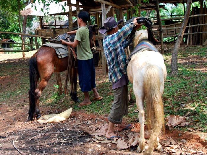 Photo by :: ����ǧ