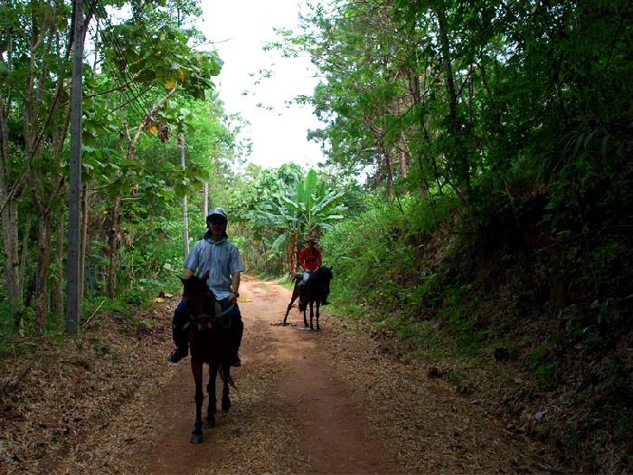 Photo by :: ����ǧ