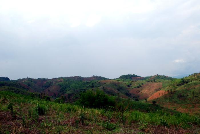 Photo by :: ����ǧ