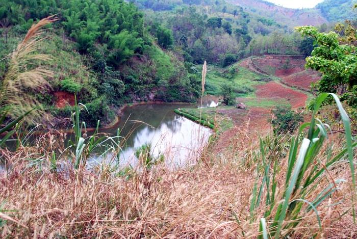 Photo by :: ����ǧ