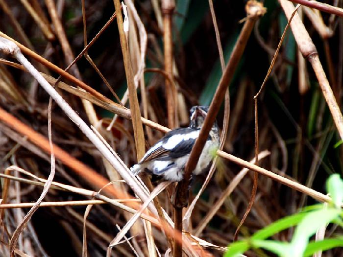 Photo by :: ����ǧ