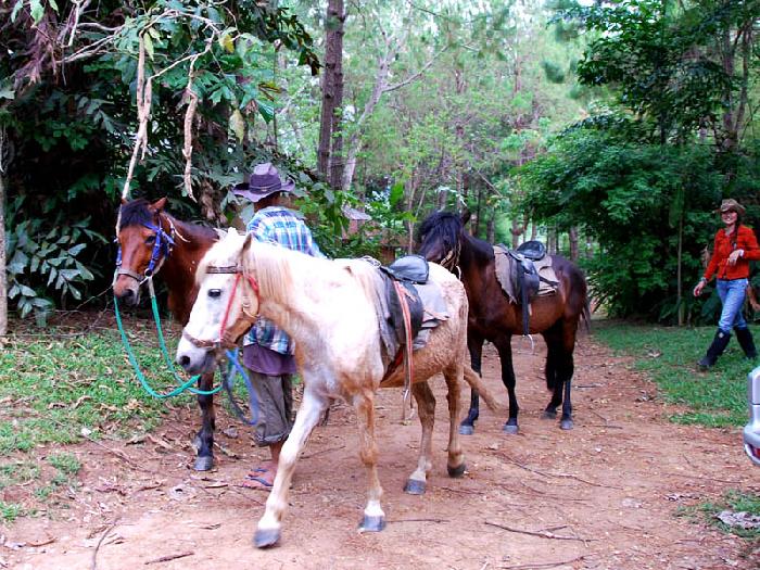 Photo by :: ����ǧ