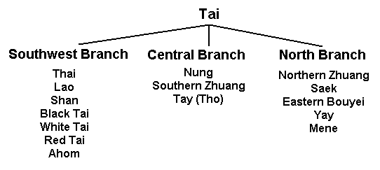 Photo by :: �� �觻ѹ