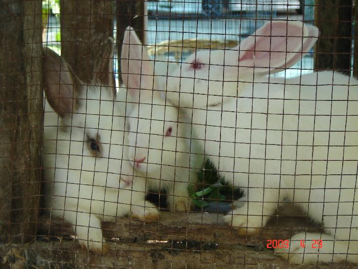 Photo by :: �س����