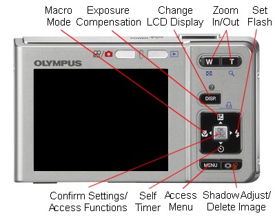 Photo by :: วิวัฒน์