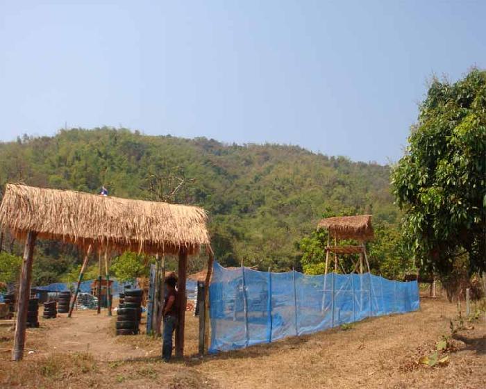 Photo by :: Mr.��§���