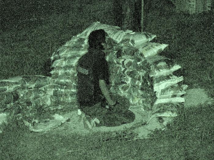 Photo by :: ���������