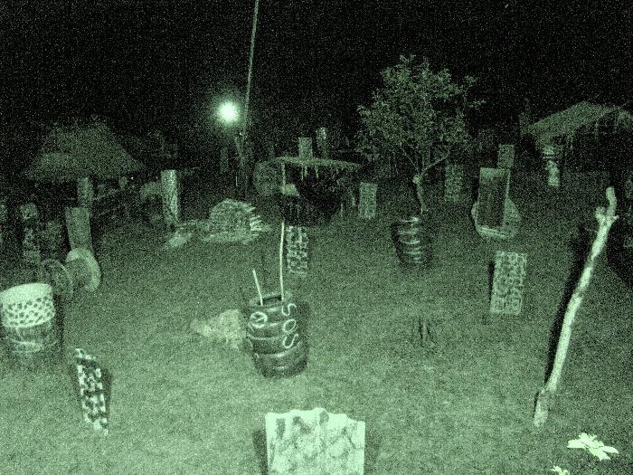 Photo by :: ���������