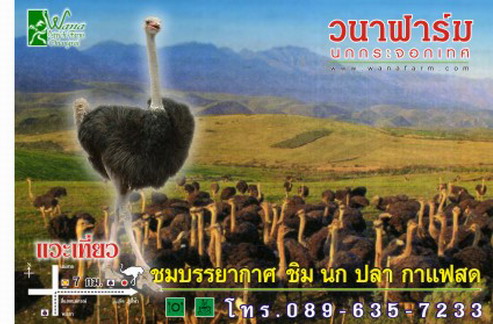 Photo by :: วนา