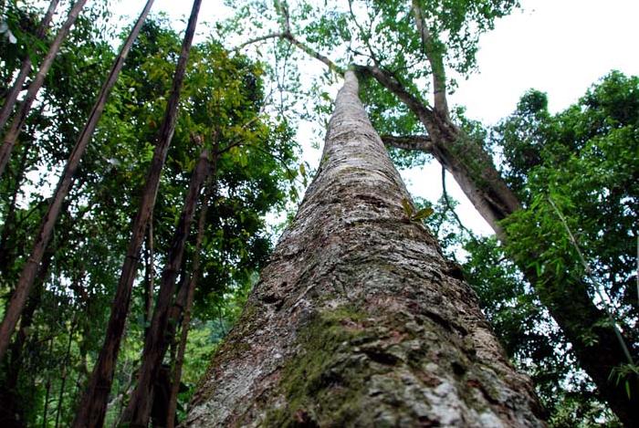 Photo by :: ����ǧ