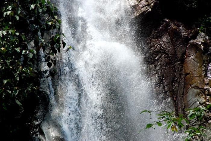 Photo by :: ����ǧ