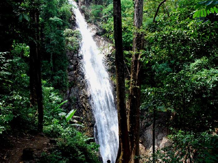 Photo by :: ����ǧ