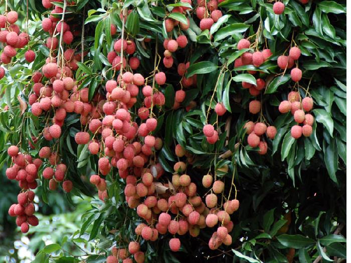 Photo by :: ����ǧ