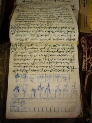 Photo by :: ����͹�������