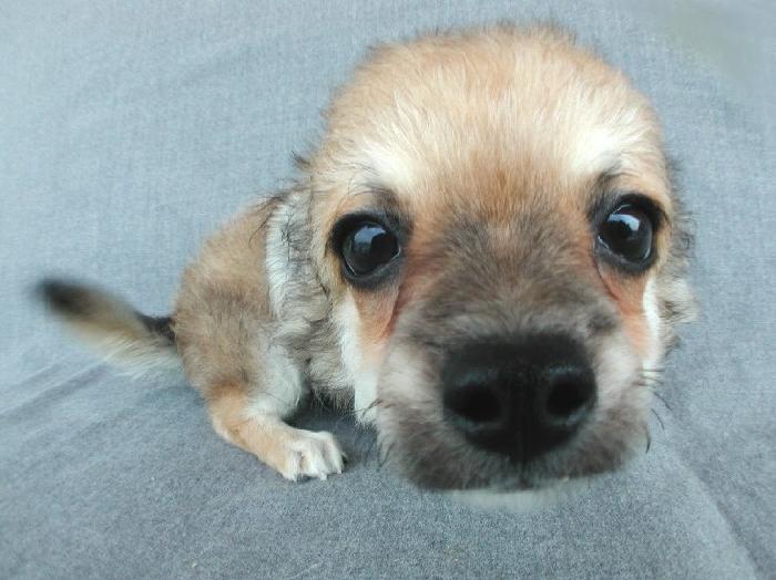 Photo by :: ���ѡ���