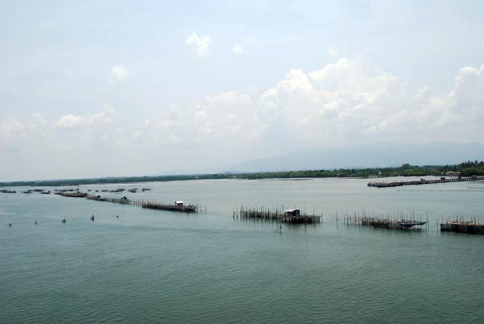 Photo by :: ����ǧ