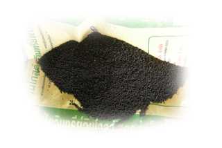 Photo by :: �����ó