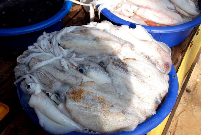 Photo by :: ����ǧ