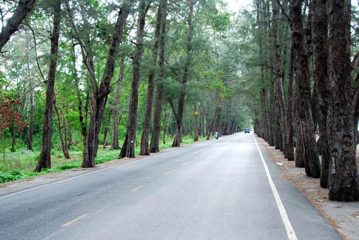 Photo by :: ����ǧ