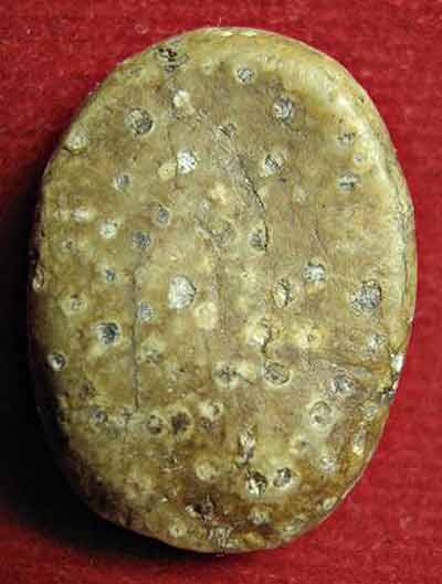 Photo by :: ����ͧ���